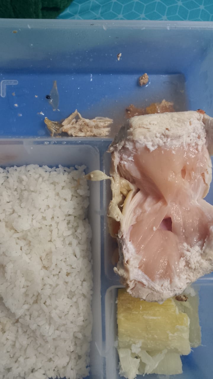 Por comida en descomposición, agua con gusanos y almuerzos servidos en la noche, reclusos de El Pedregal se declaran en huelga de hambre