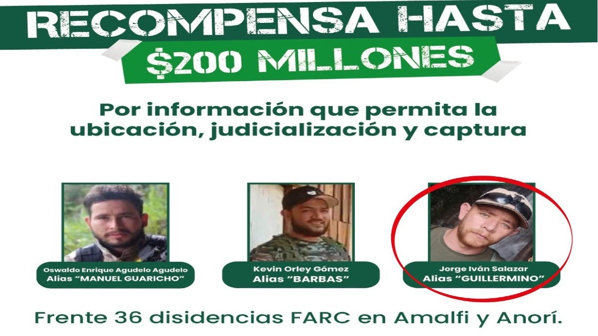 Dado de baja alias 'Guillermino'