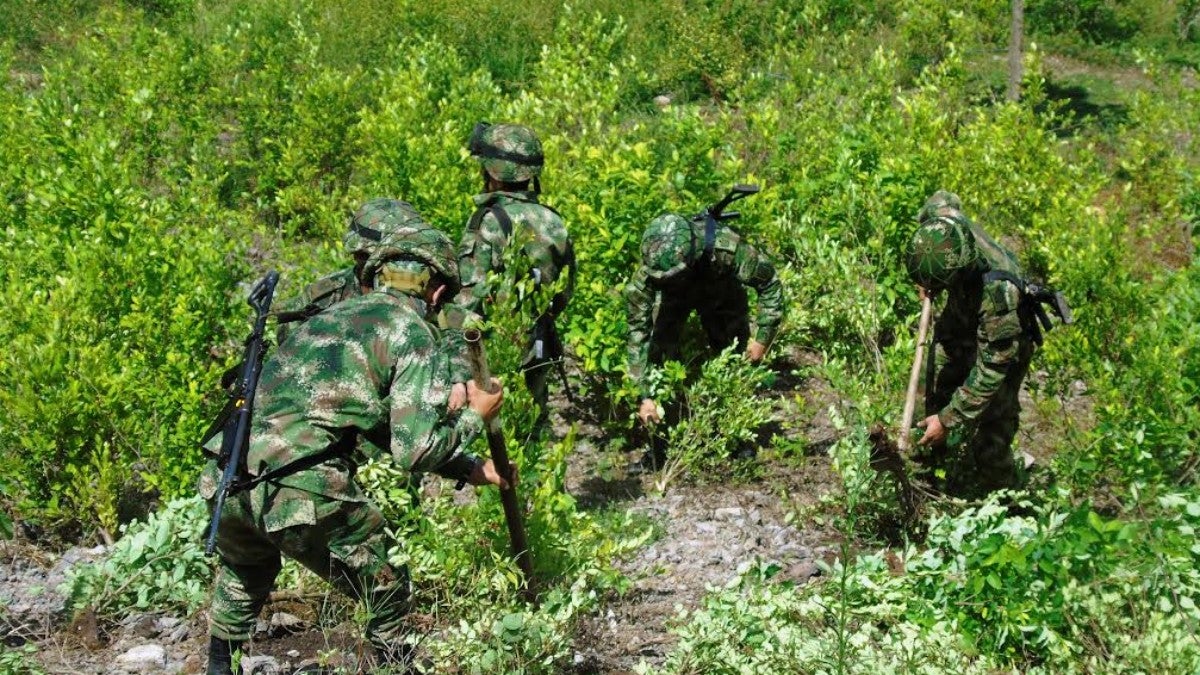 Antioquia lamentó la descertificación de Colombia contra su lucha contra las drogas