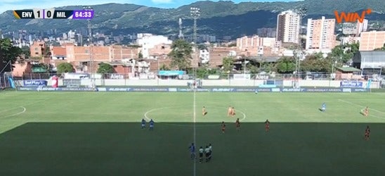 Partido entre Envigado y Millonarios se vio interrumpido por un panal de abejas