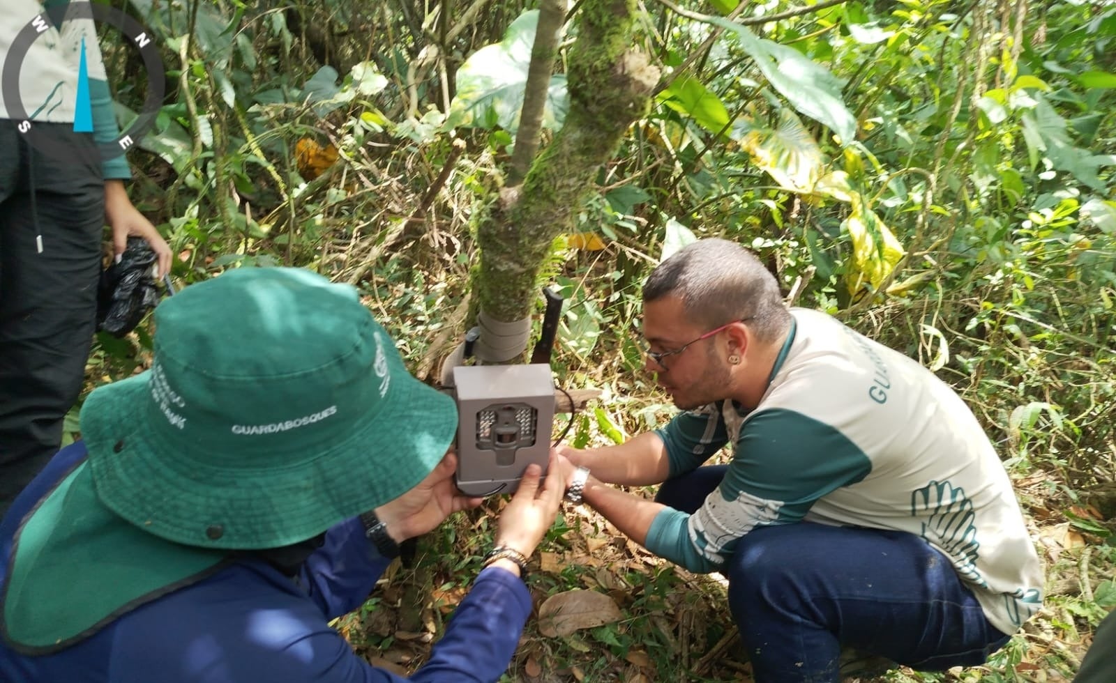 Itagüí refuerza monitoreo ambiental con 18 cámaras tras avistamiento de un puma