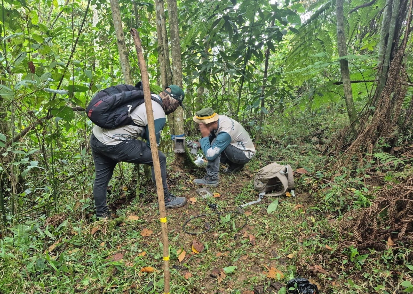 Itagüí refuerza monitoreo ambiental con 18 cámaras tras avistamiento de un puma