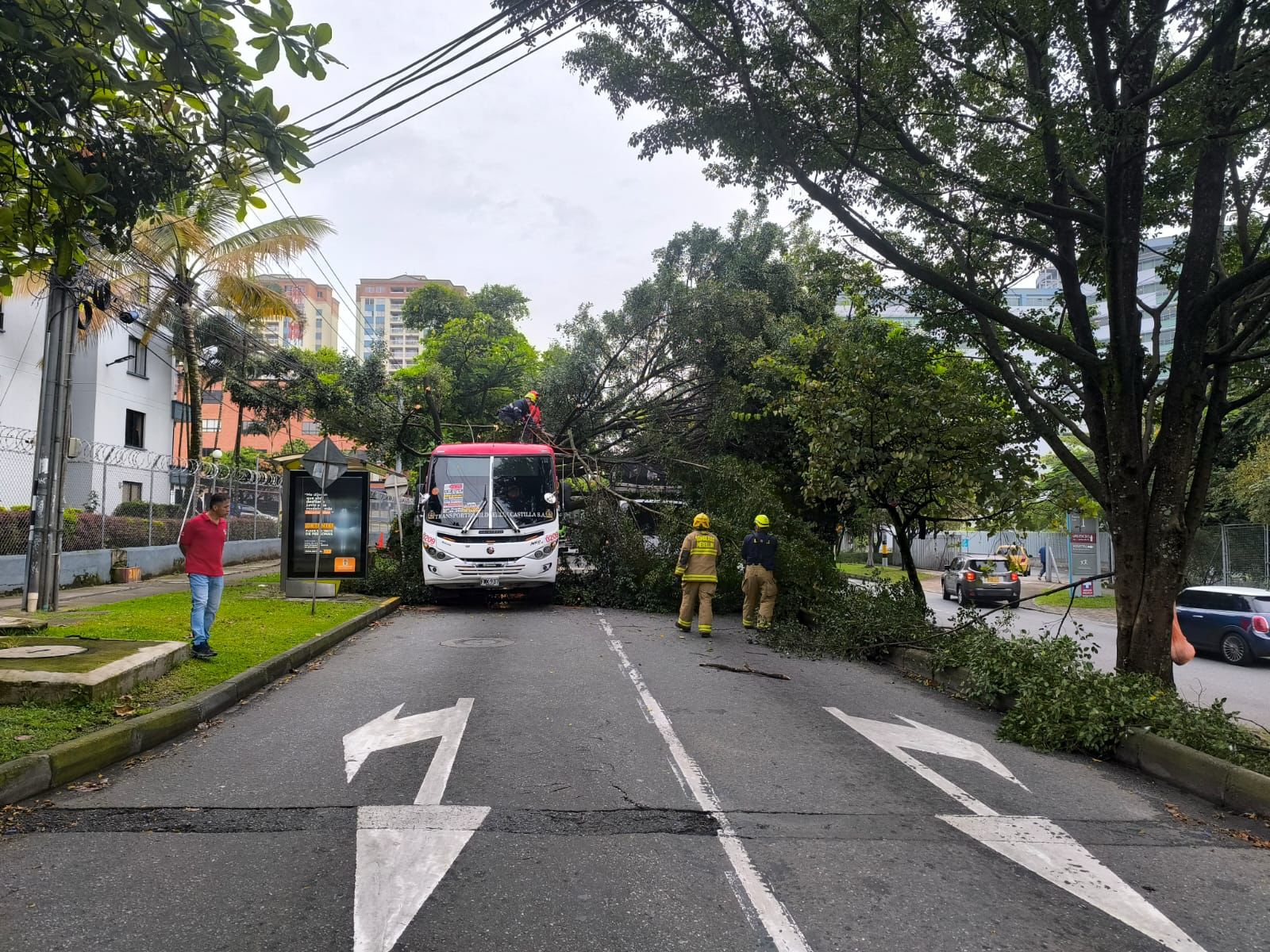 Árbol caído cerca del hospital Pablo Tobón