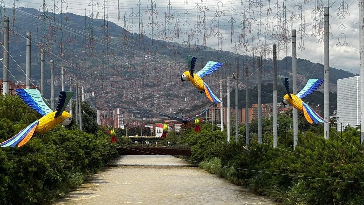 Alumbrados Navideños - Antioquia - 2025