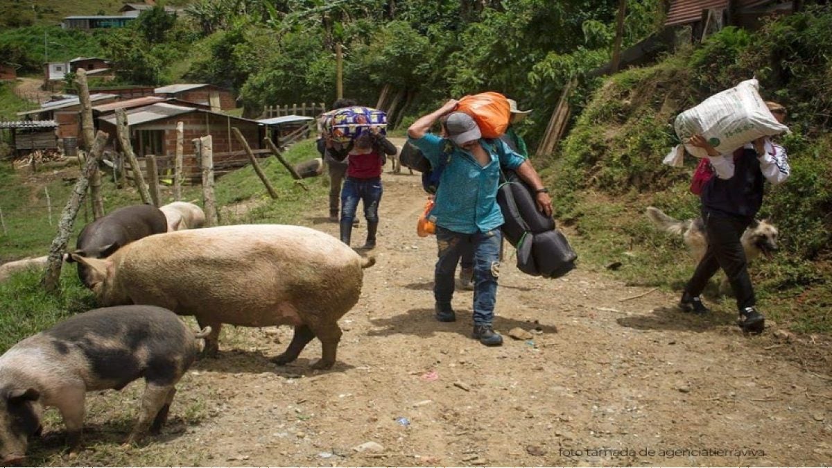 Desplazamientos en Antioquia