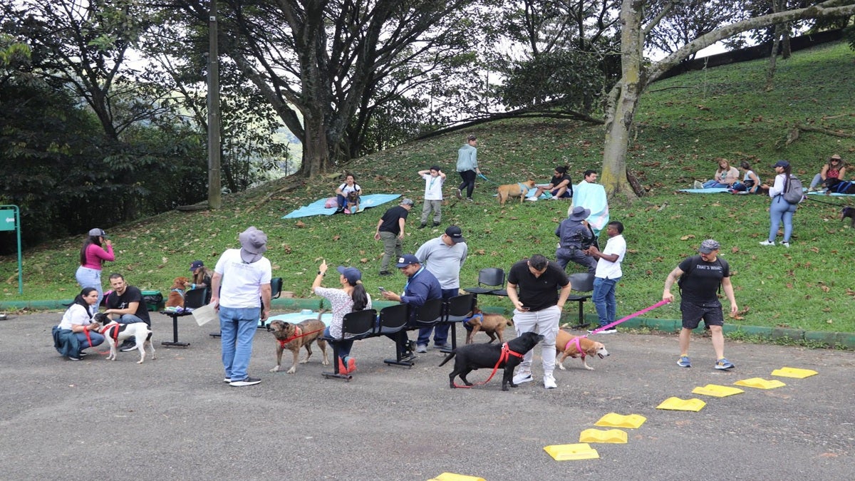 Los 33 perros más longevos del Centro de Bienestar Animal hicieron parte de una “Un paseo lleno de amor"