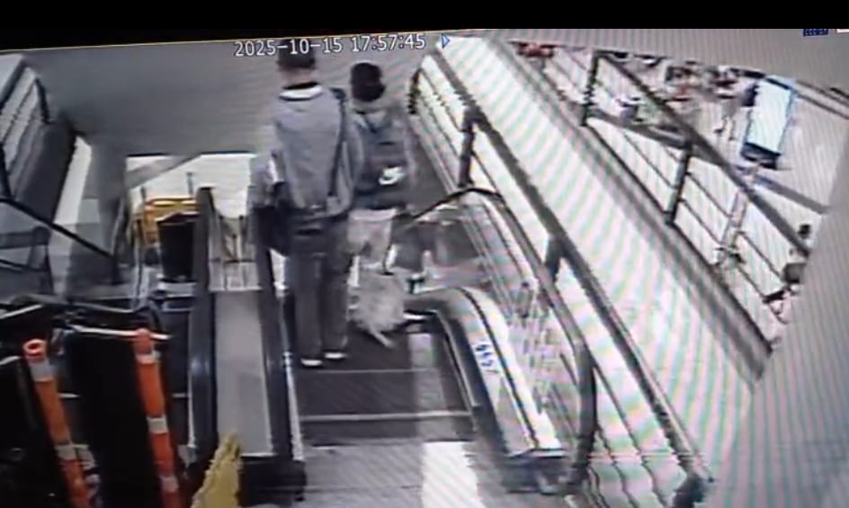 Perrito atrapado en un centro comercial