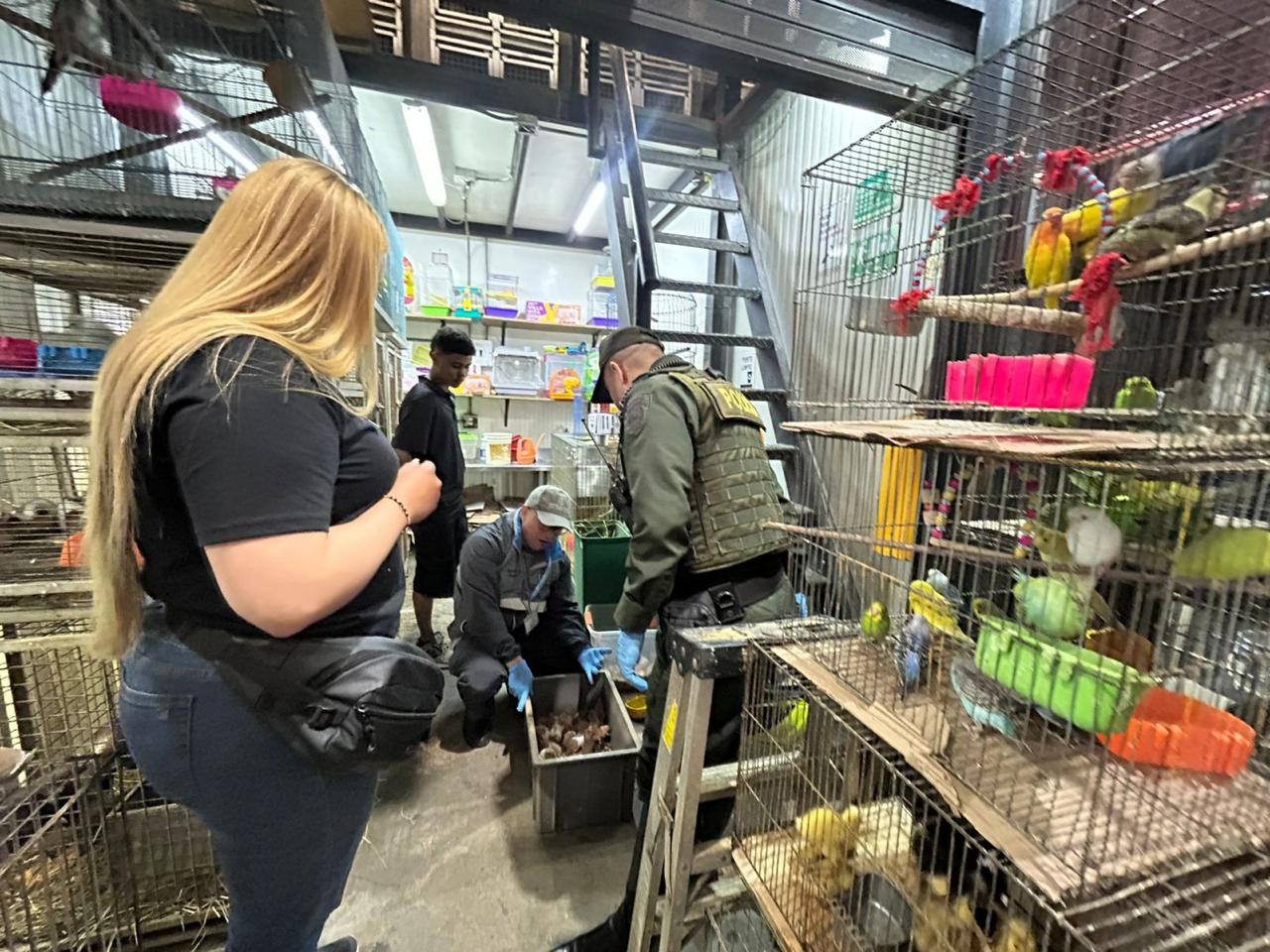 Operativo policial recupera 64 animales domésticos de La Plaza Minorista: Estaban hacinados, maltratados y con deficiente atención sanitaria