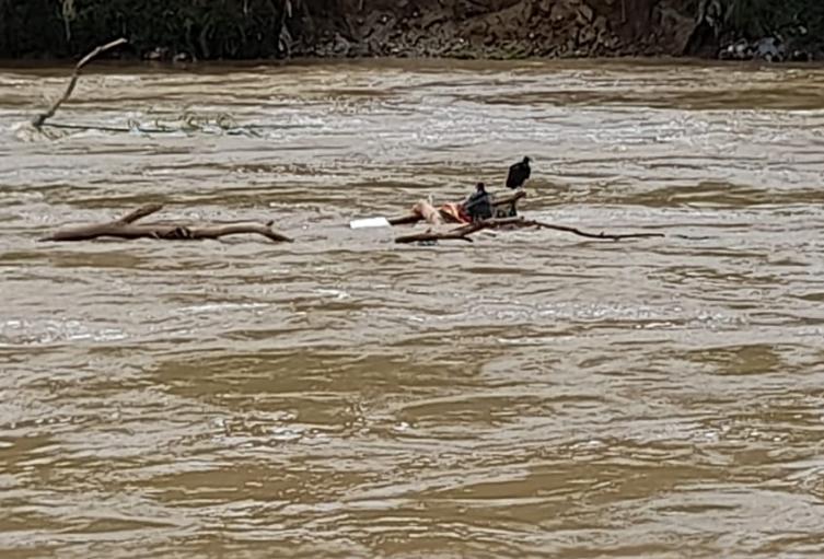 Cadáver en aguas del rio Medellín