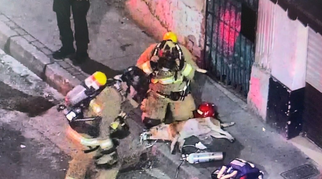 Dramático rescate de perrito en el centro de Medellín