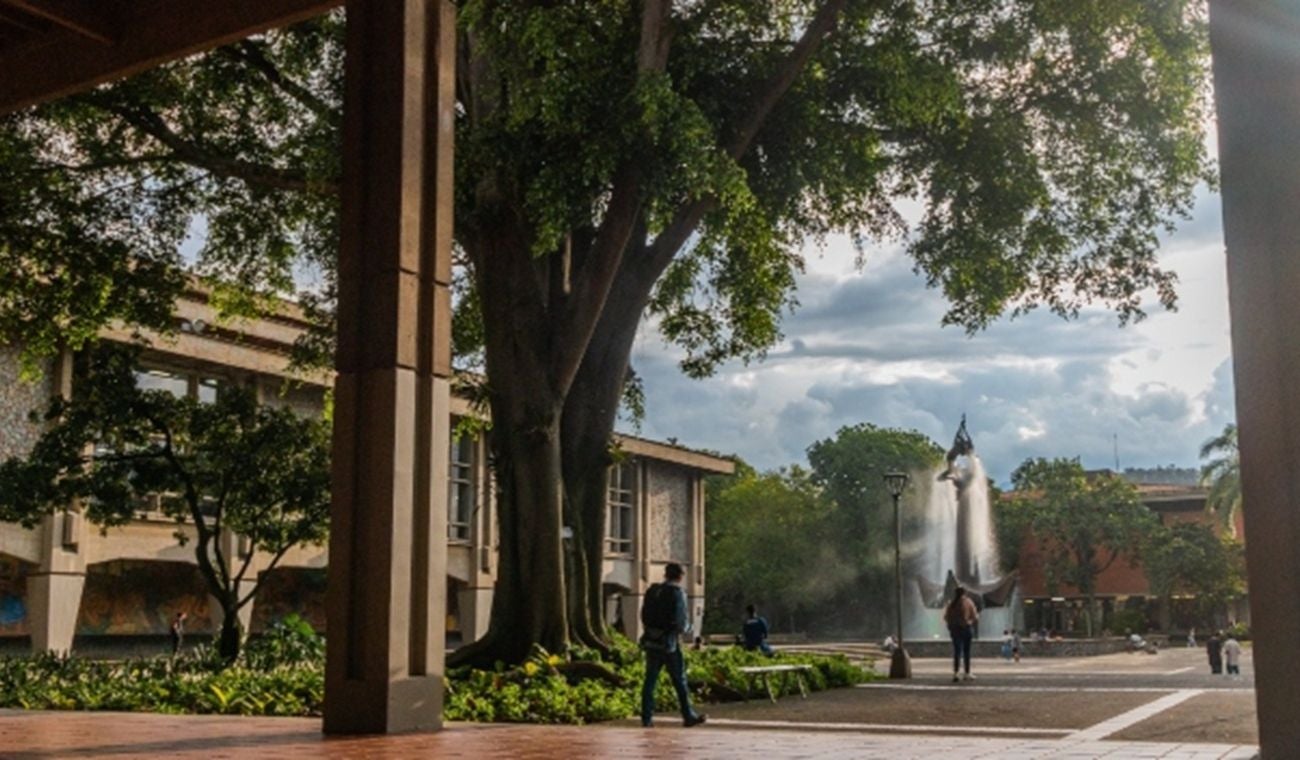Universidad de Antioquia - 2025 - Sede Medellín