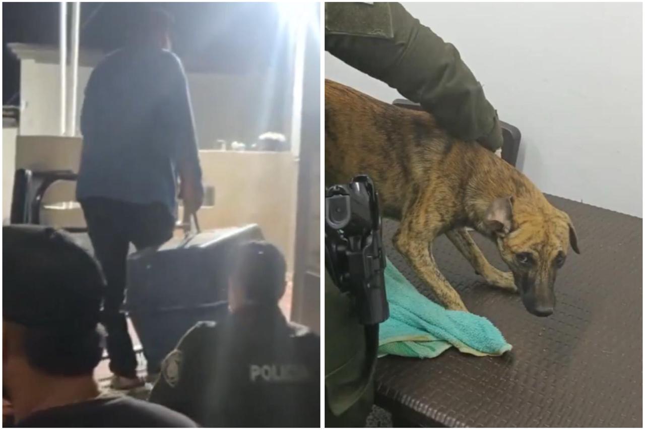 Entrega maltratador de animales