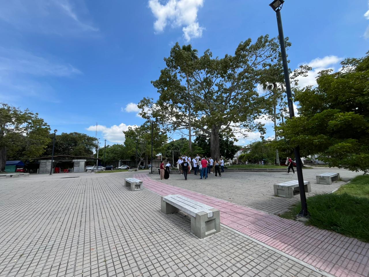 Imágenes de Armero Guayabal