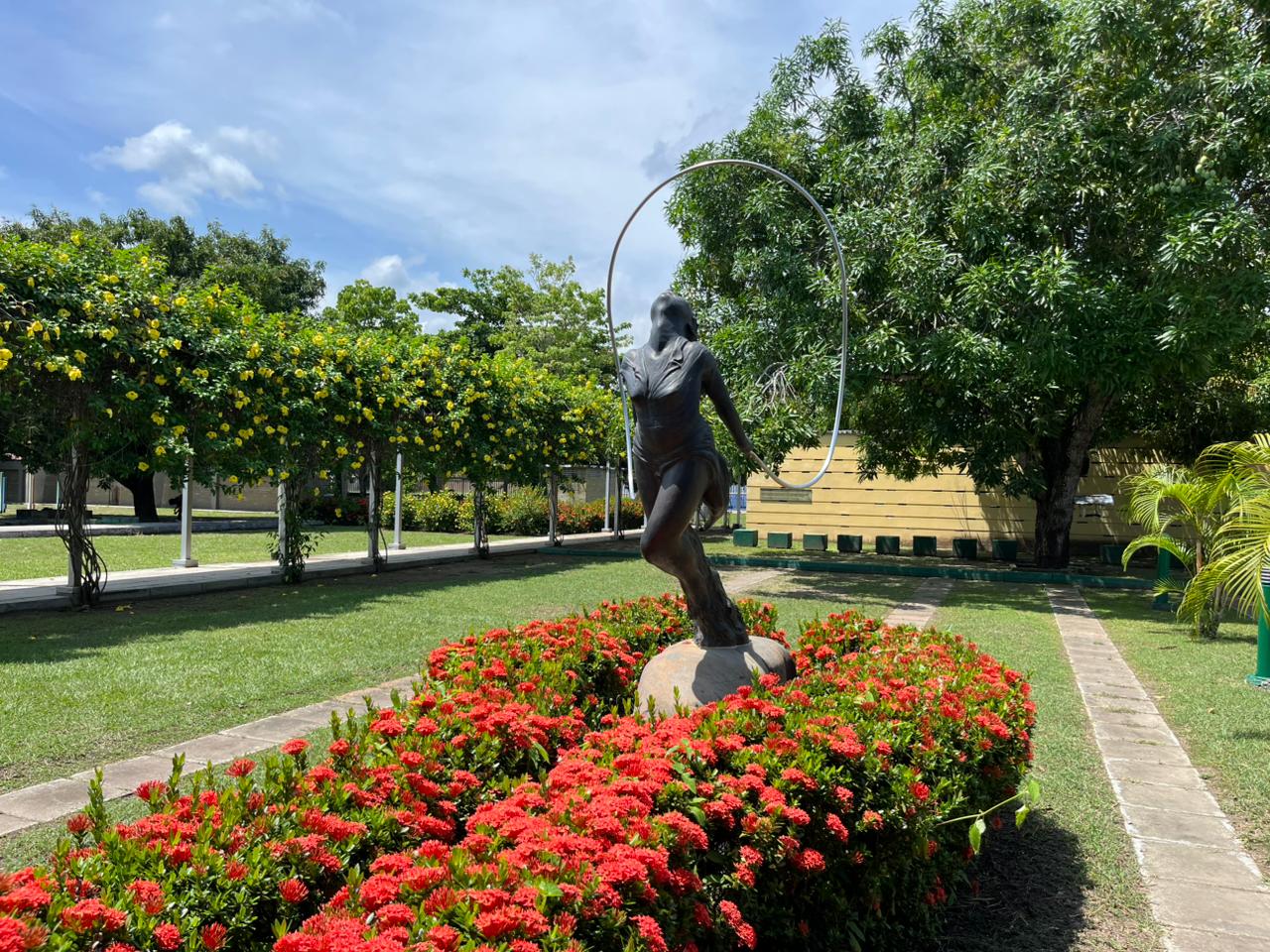 Imágenes de Armero Guayabal