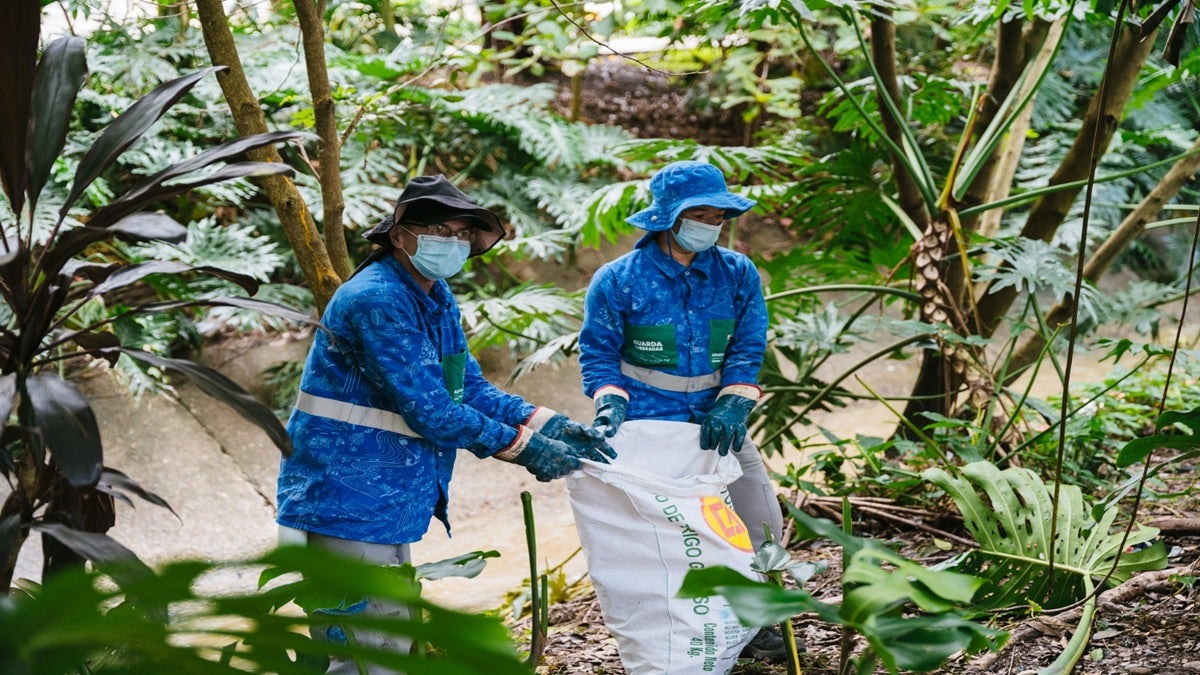 Medellín avanza en la recuperación y protección de sus quebradas con el proyecto 'Mi Río, Mis Quebradas'