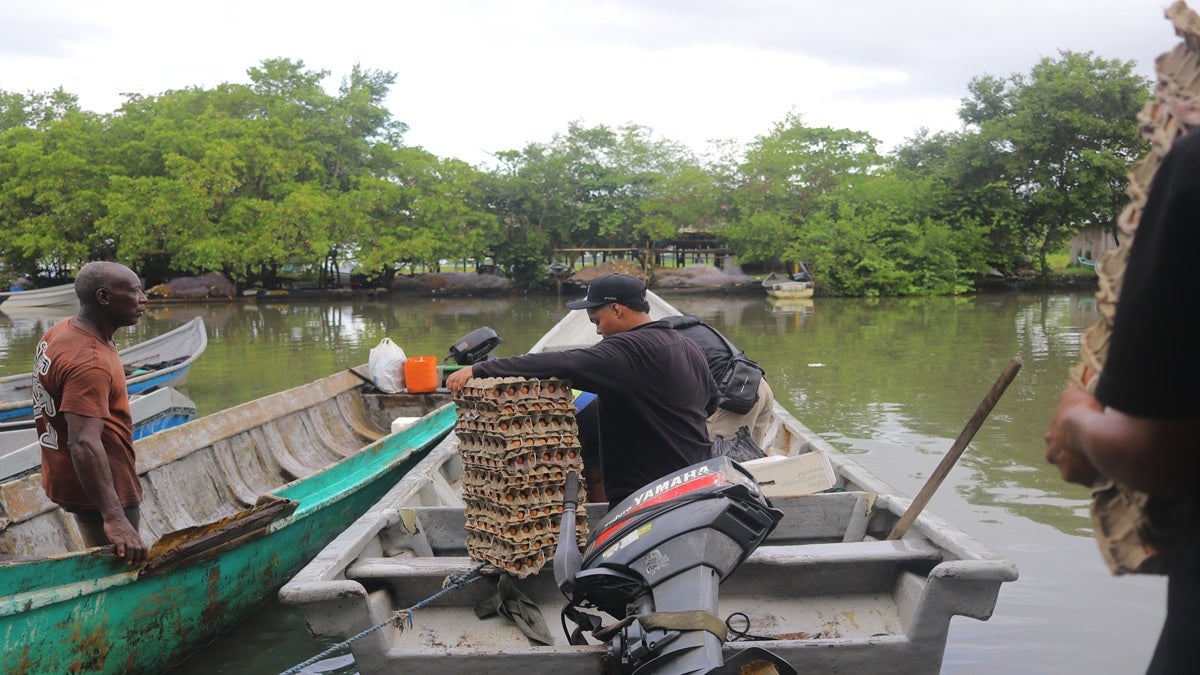Arrullos Antioquia logra una reducir del 92% las muertes por desnutrición infantil en 2025