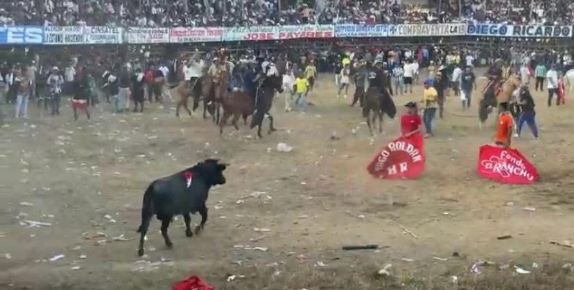 Entre los lesionados destaca un ciudadano con una cornada compleja en la zona lumbar, quien debió ser trasladado de urgencia al Hospital.