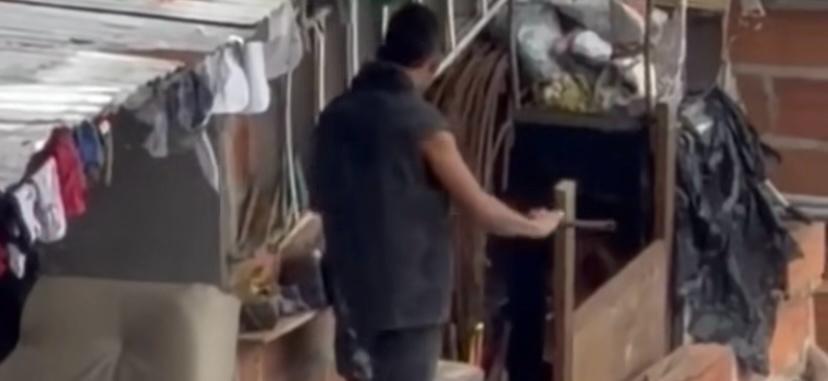 En la grabación se observa que incluso menores de edad participaron en la agresión al canino.