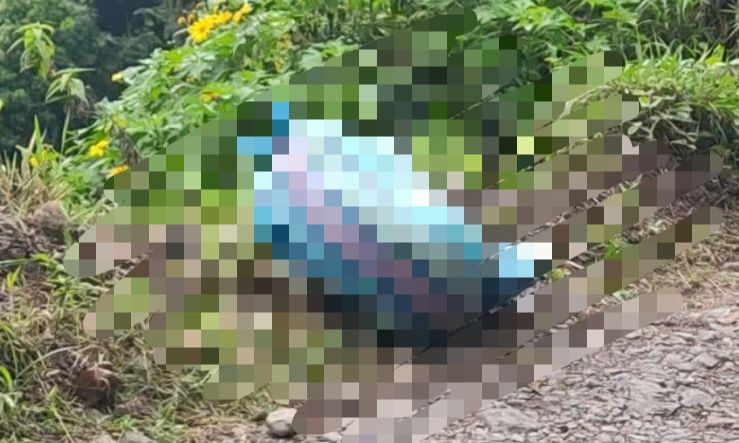 Cuerpo embolsado 2026 Támesis.