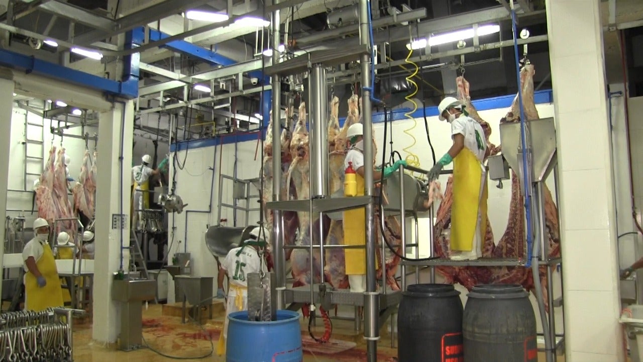 Los controles estarán enfocados en los mataderos