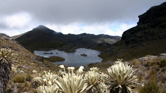 Los integrantes del Comité señalaron que están alejados de cualquier vínculo ideológico con algún partido.
