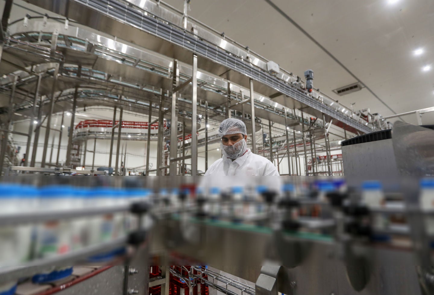 Producción de leche