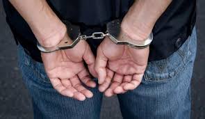 Referencia de captura