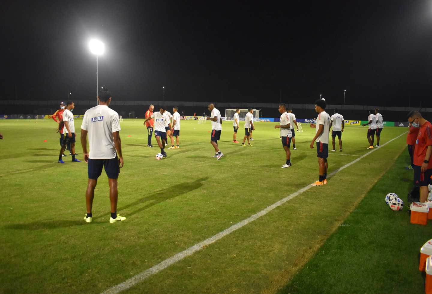 Entrenamiento Selección - 2020