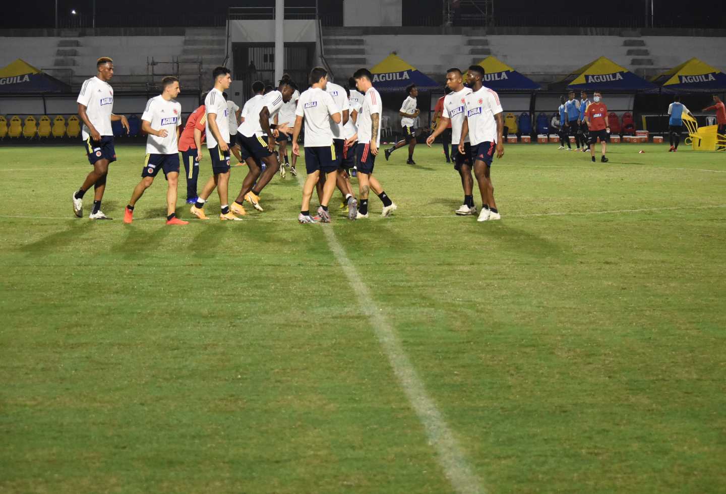 Entrenamiento Selección - 2020