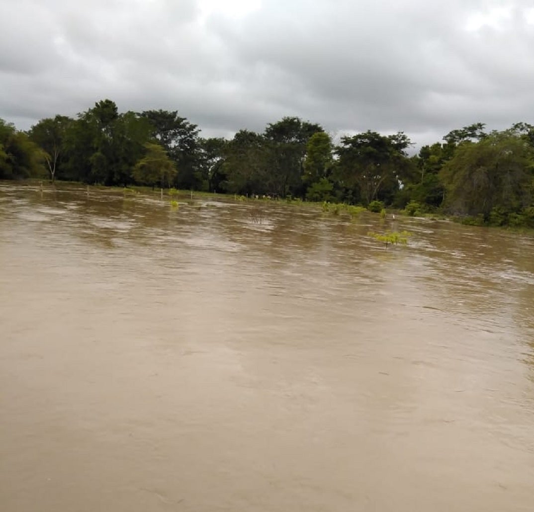 En Papayal aún no se han establecido las pérdidas por esta emergencia.
