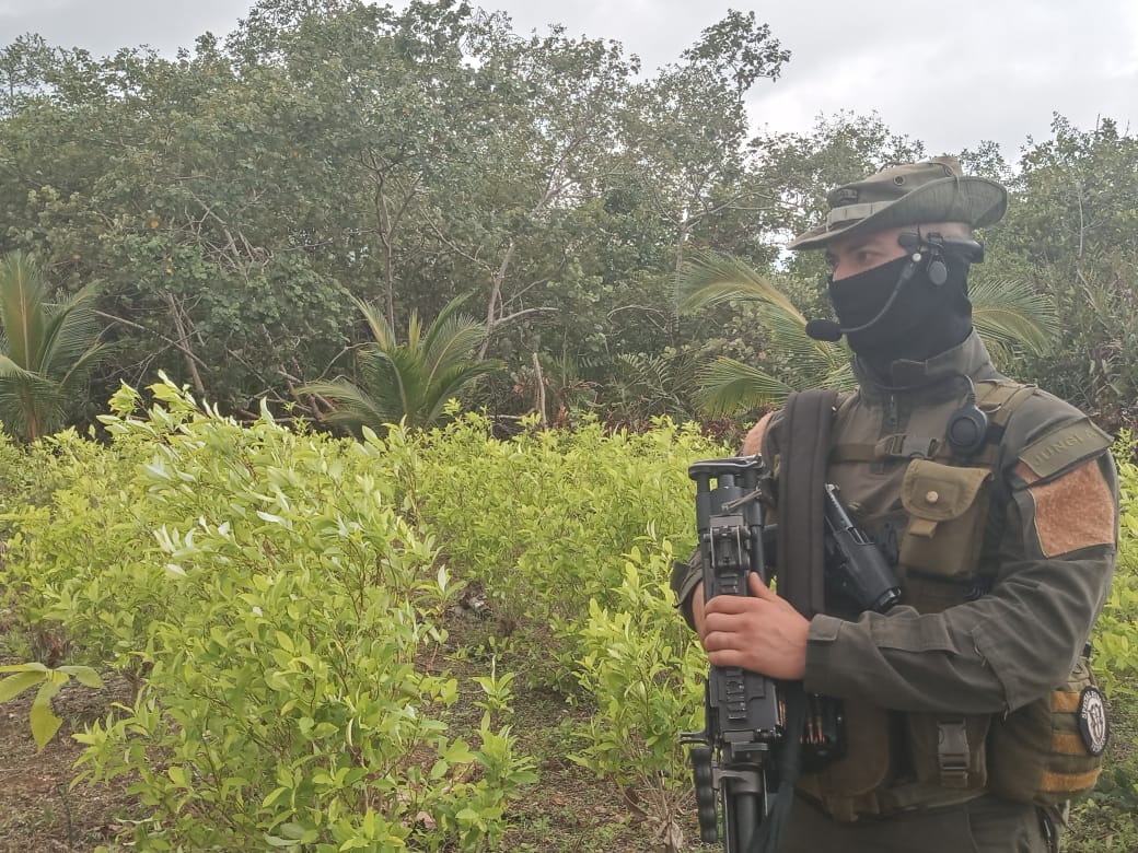 Tropas erradicando cultivos