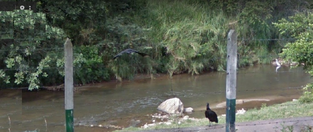 En diferentes puntos se aprecia contaminación por vertimientos no autorizados.