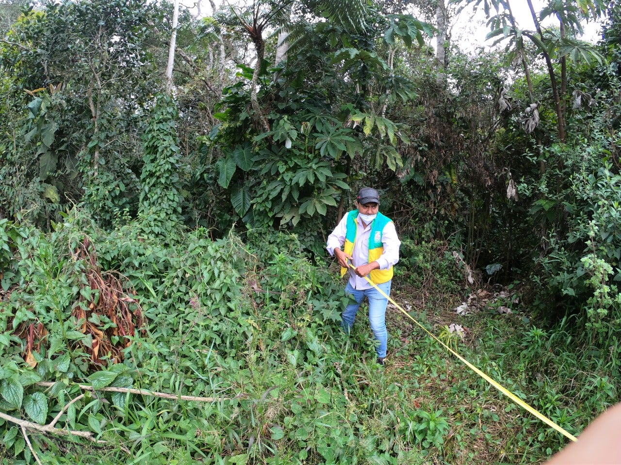 Inspección de la CAS