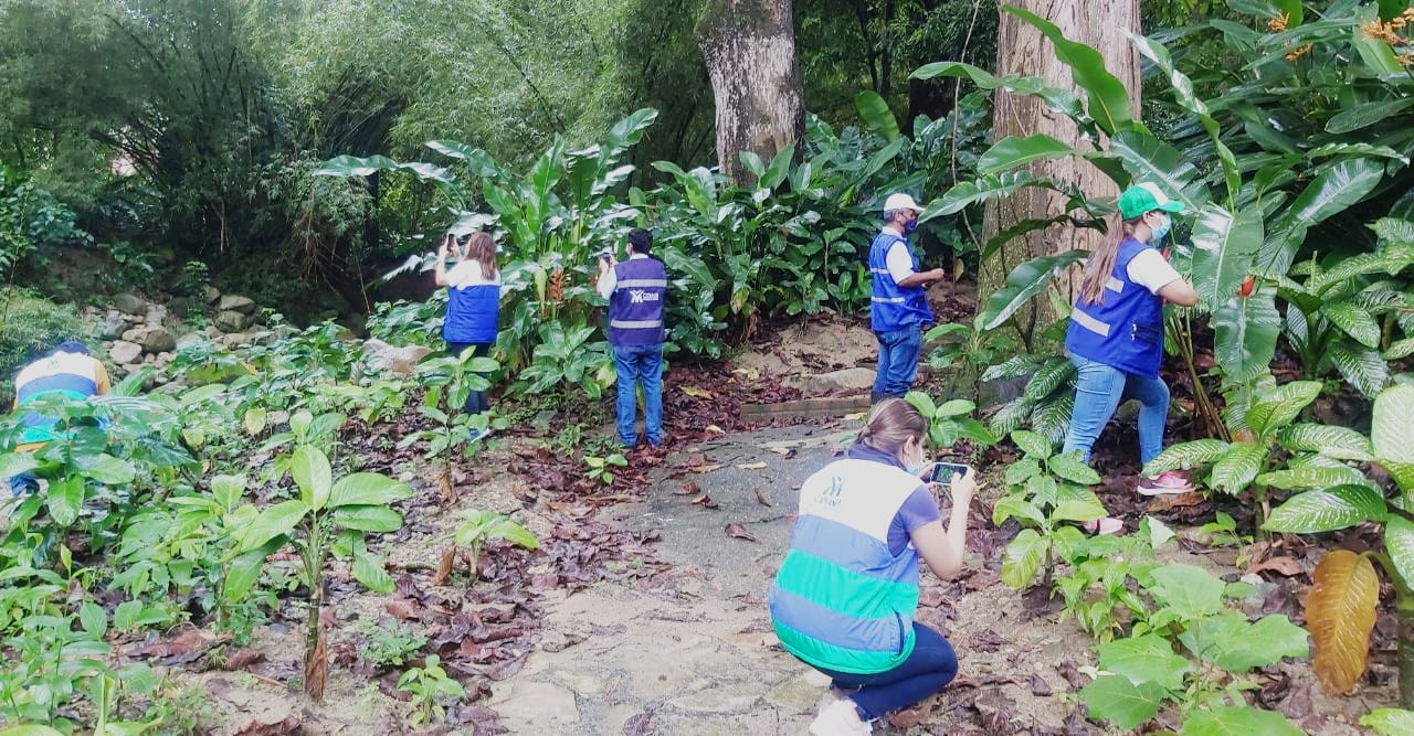 Por medio de actividad ecológica, en Bucaramanga buscan el mayor registro de especies de la región