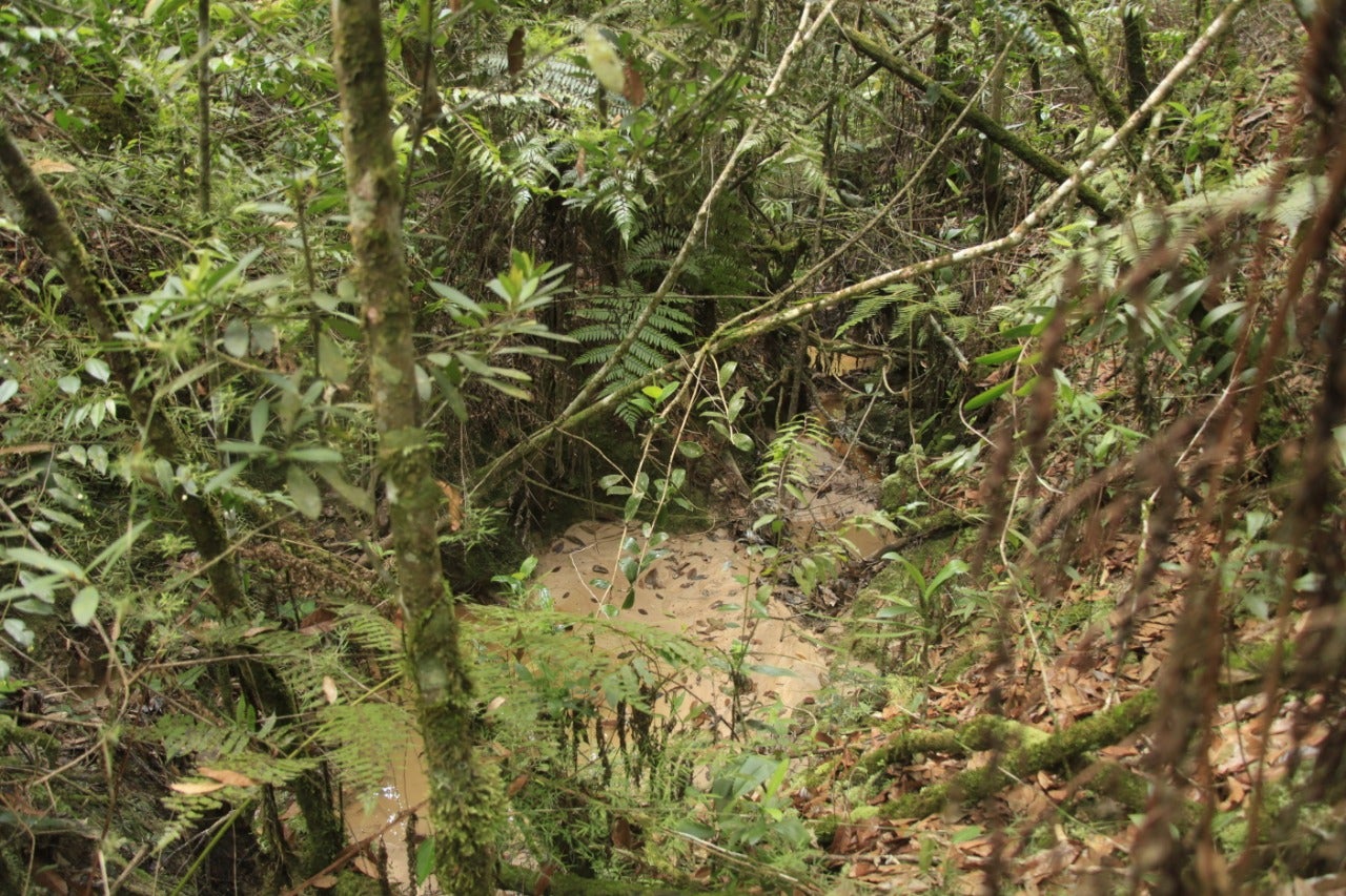 Inspección de la CAS