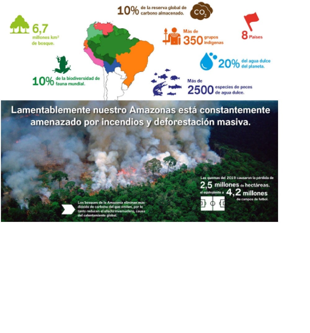 La deforestación y los incendios forestales son las principales amenazas que tiene el Amazonas.