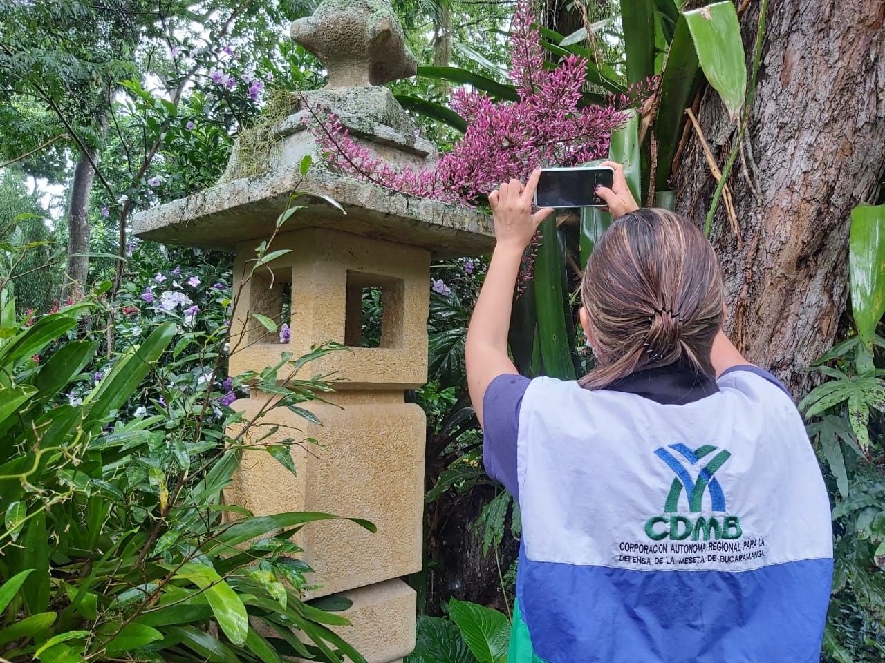 Por medio de actividad ecológica, en Bucaramanga buscan el mayor registro de especies de la región