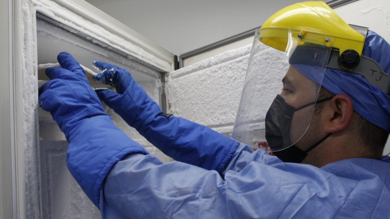 Banco de tejidos de la FCV