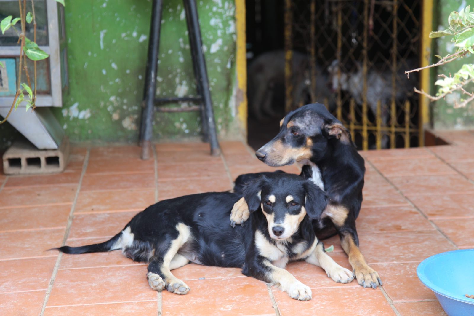 Gran tapatón en Bucaramanga