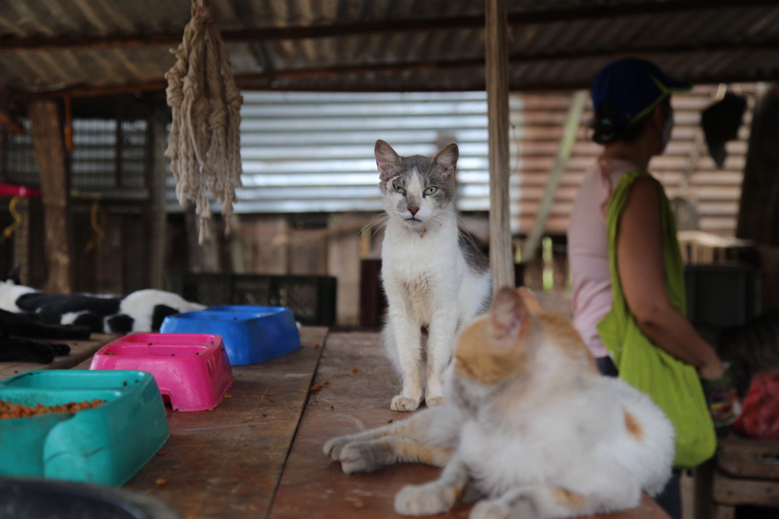 Gran tapatón en Bucaramanga