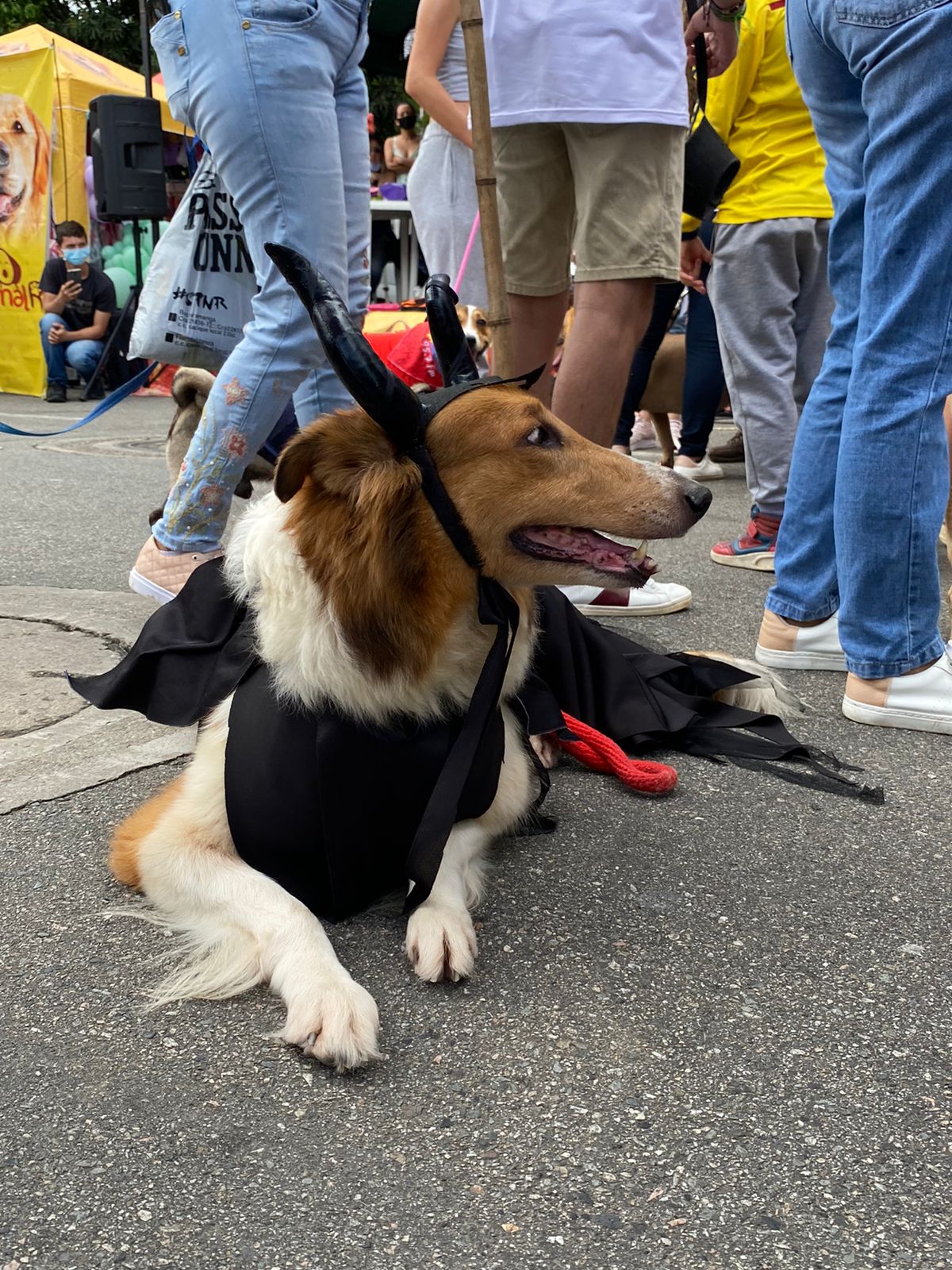 ‘Mascotaween’ en Bucaramanga