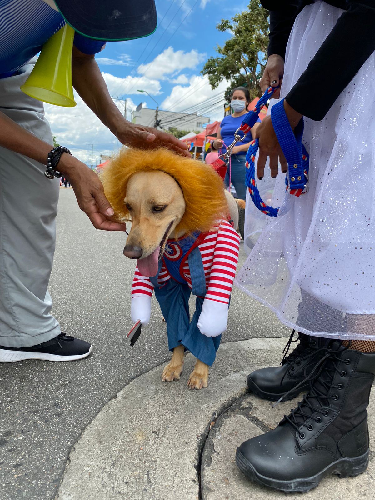 ‘Mascotaween’ en Bucaramanga
