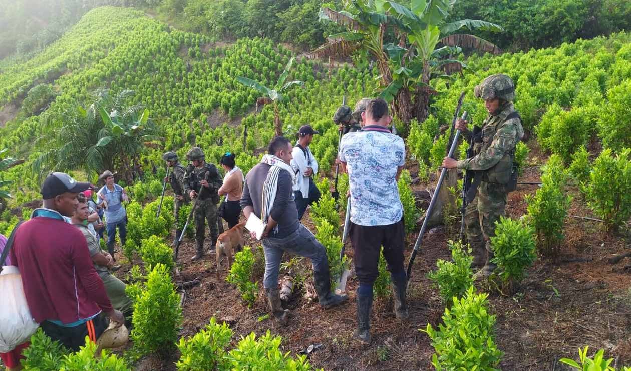 Ejército y campesinos en el Catatumbo