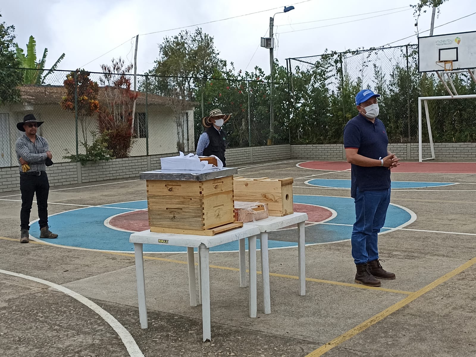 Beneficios medioambientales del plan ‘Jóvenes apicultores’