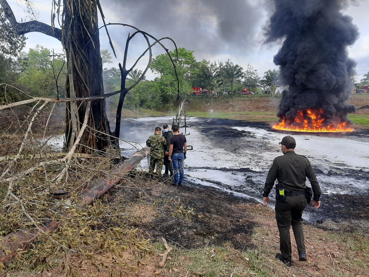 20 millones de pesos por capturar a los responsables