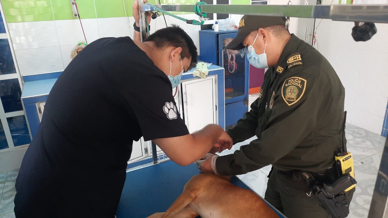 MALTRATO ANIMAL BARRANCABERMEJA