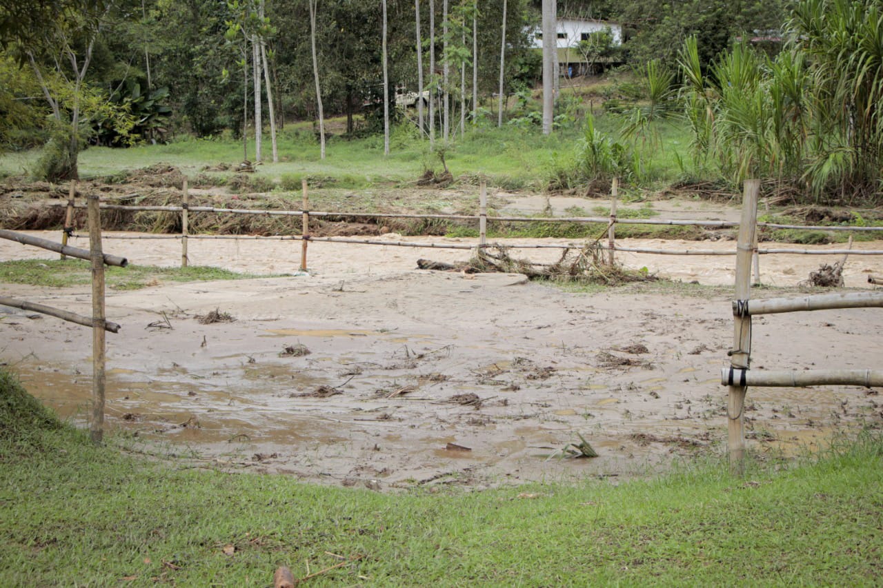 Afectaciones por lluvias
