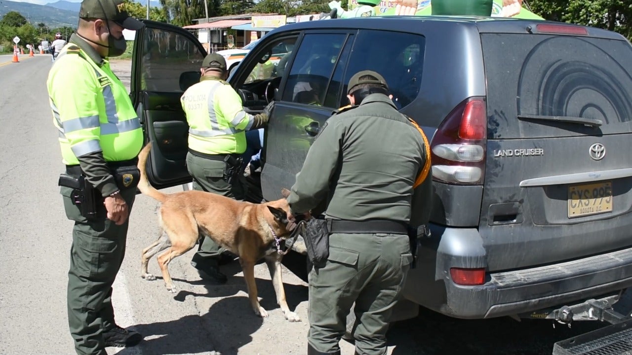 La seguridad en vías