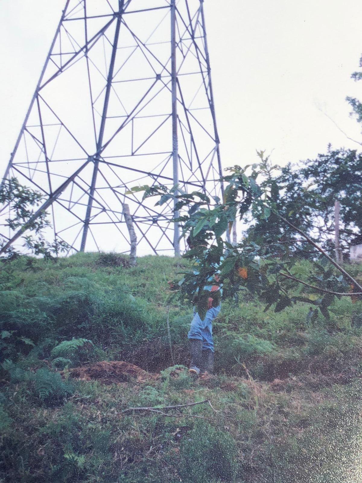 Torre de alta tensión en Lebrija, Santander