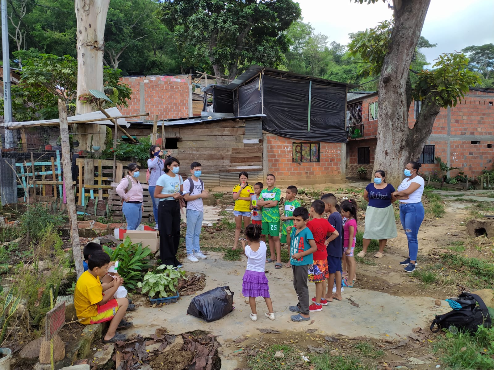 Viveros comunitarios en Bucaramanga